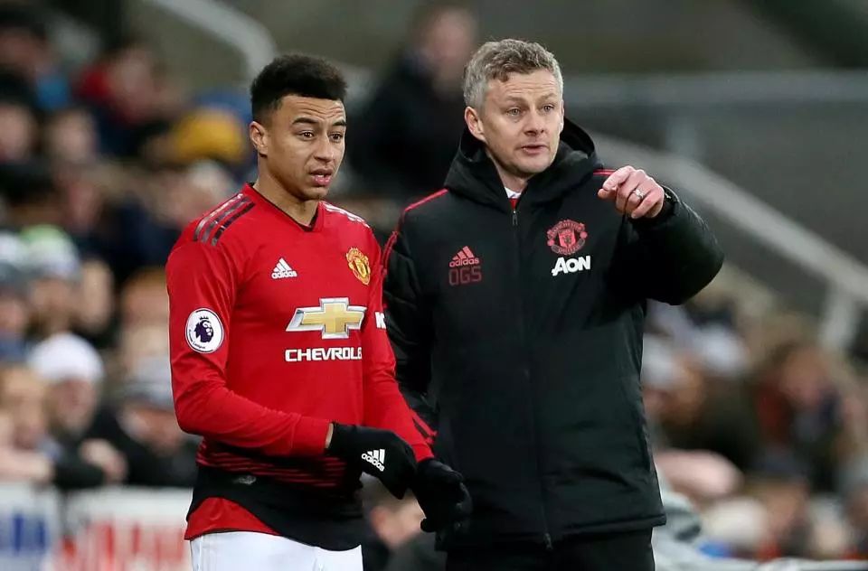 尤其是近年 尤其是近年